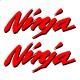 Ninja (4.típus) Árnyékkal