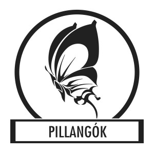 Faldekor&aacute;ci&oacute;, Falimatrica, Faltetov&aacute;l&aacute;s - Pillang&oacute;