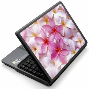 Laptop matrica, Laptop dekor&aacute;ci&oacute; - Fot&oacute; jellegű laptop matric&aacute;k