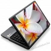 Laptop matrica, Laptop dekor&aacute;ci&oacute; - Fot&oacute; jellegű laptop matric&aacute;k - Vir&aacute;g - Plumeria, Frangipani 1155