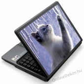 Laptop matrica, Laptop dekor&aacute;ci&oacute; - Fot&oacute; jellegű laptop matric&aacute;k - &Aacute;llat - Macska, cica 1215