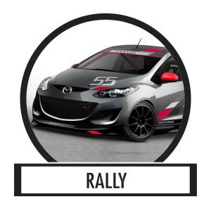 Aut&oacute;dekor&aacute;ci&oacute;, aut&oacute;matrica - Rally