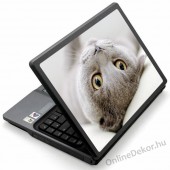 Laptop matrica, Laptop dekor&aacute;ci&oacute; - Fot&oacute; jellegű laptop matric&aacute;k - &Aacute;llat - Macska 1220