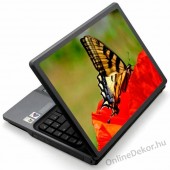 Laptop matrica, Laptop dekor&aacute;ci&oacute; - Fot&oacute; jellegű laptop matric&aacute;k - Pillang&oacute; - Pillang&oacute; 1277