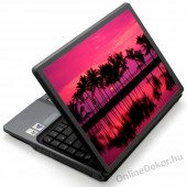 Laptop matrica, Laptop dekor&aacute;ci&oacute; - Fot&oacute; jellegű laptop matric&aacute;k - Term&eacute;szet - Palmafa 1290