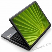 Laptop matrica, Laptop dekor&aacute;ci&oacute; - Fot&oacute; jellegű laptop matric&aacute;k - Term&eacute;szet - Palma lev&eacute;l 1291