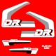 DR Big 800 S
