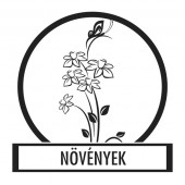 Faldekor&aacute;ci&oacute;, Falimatrica, Faltetov&aacute;l&aacute;s - N&ouml;v&eacute;ny