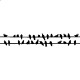 Faldekoráció, Falimatrica, Faltetoválás - Állat - Galambok 281