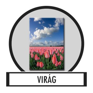 V&aacute;szonk&eacute;p, Falik&eacute;p - Vir&aacute;g