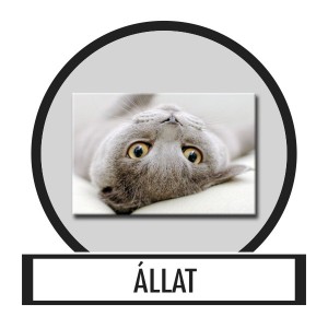 V&aacute;szonk&eacute;p, Falik&eacute;p - &Aacute;llat