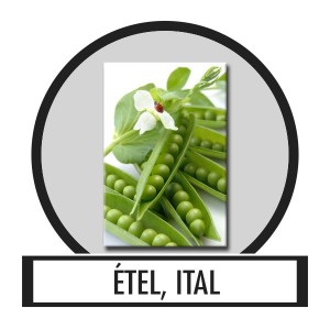 V&aacute;szonk&eacute;p, Falik&eacute;p - &Eacute;tel, Ital